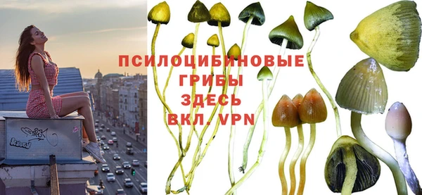 кокаин VHQ Белокуриха