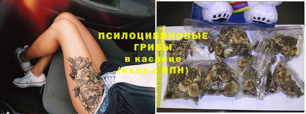 стафф Беломорск